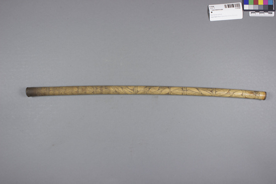 Hearst Museum object 1 of 2 titled Cane tobacco pipe, accession number 11-37556, described as Tobacco pipe, cane, with incised designs filled with black pigment, 52.7 cm long. Used for smoking.