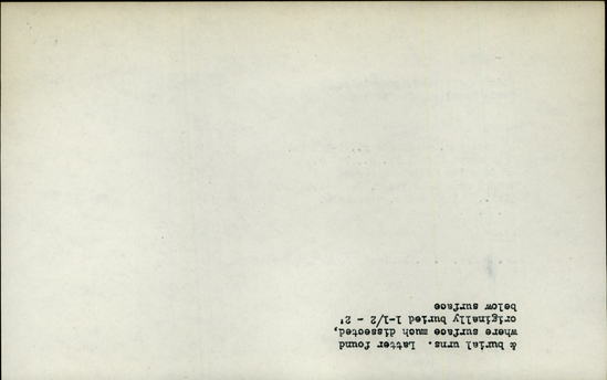 Documentation associated with Hearst Museum object titled Bead, accession number 16-2859, described as Olive shell bead; comprising whole basal portion of shell