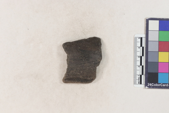 Hearst Museum object 8 of 160 titled Potsherd, accession number 16-8191, described as Potsherd: rims Section of Manta on beach currently inhabited. Numbers  8111 to 8194 are sherds picked up on beach at low tide.