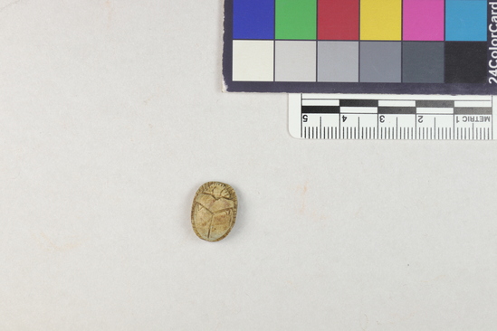 Hearst Museum object titled Scarab with inscription, accession number 5-13926, described as Scarab: tan color. Bluish tints around holes at head and tail. inscription on underside with brownish streak. Length 1.5 cm.