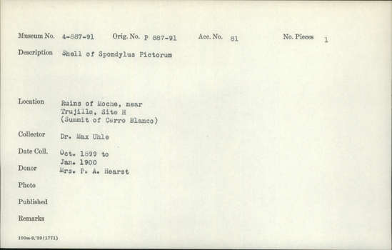 Documentation associated with Hearst Museum object titled Shell, accession number 4-887, described as Shell of Spondylus pictorum.