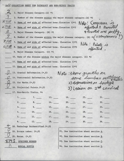 Documentation associated with Hearst Museum object titled Human remains, accession number 12-8743(0), described as The remains of an adult male.