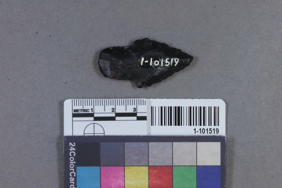 Hearst Museum object titled Projectile point, accession number 1-101519, described as Obsidian.