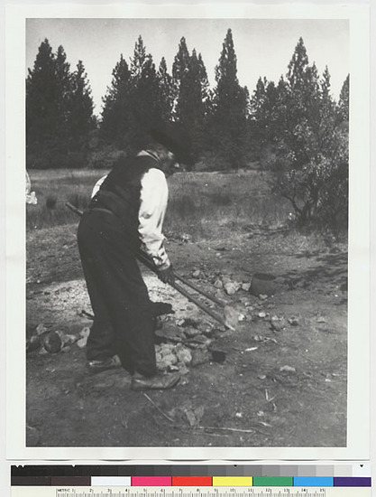 Hearst Museum object titled Black-and-white negative, accession number 15-2741, described as Old Pedro illustrating the dropping of hot rocks from the wooden tongs into the basket of acorn mush