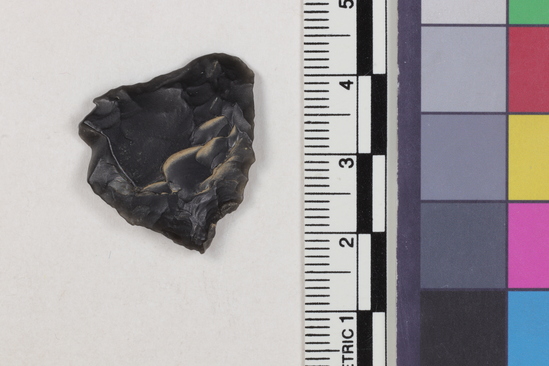 Hearst Museum object 1 of 2 titled Projectile point fragment, accession number 16-14193, described as Projectile point; obsidian; triangular; weight: 2.84 grams; length: 2.35 cm; width: 2.45 cm; depth: 0.45 cm; straight sides, straight base, thinned base.