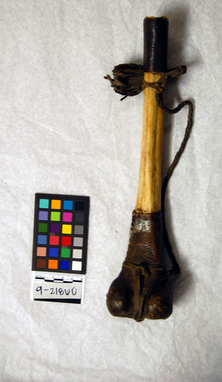 Hearst Museum object titled Thighbone trumpet, accession number 9-21860, described as Trumpet fashioned from a human thigh bone; thighbone is wrapped at top and bottom with leather, and a leather thong is attached as a handle.