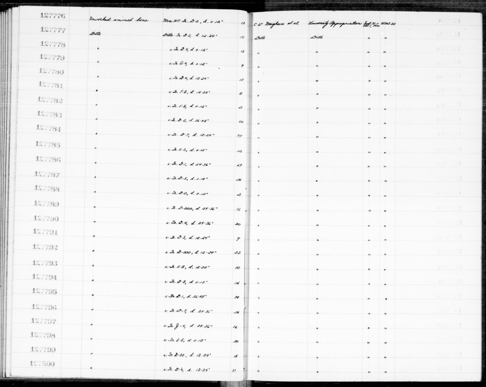 Documentation associated with Hearst Museum object titled Worked bone, accession number 1-127795.2, described as Worked bone.