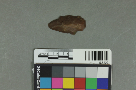 Hearst Museum object titled Flake, accession number 5-8222, described as Unifacial flake; sub-triangular; steep squamous flaking on edges; convex back; length 3.8 cm