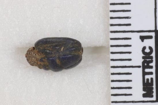 Hearst Museum object 3 of 8 titled Scarab, accession number 6-20581, described as tiny blue scarab. New Empire