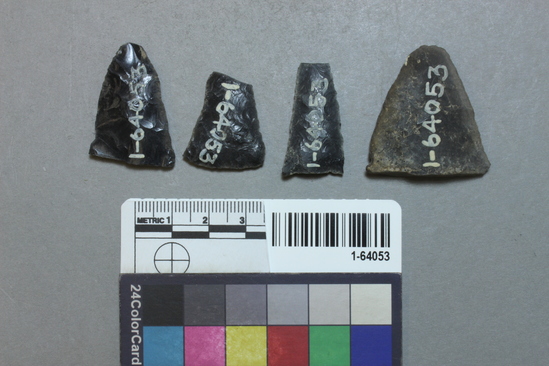 Hearst Museum object titled Point fragments, accession number 1-64053, described as Obsidian.