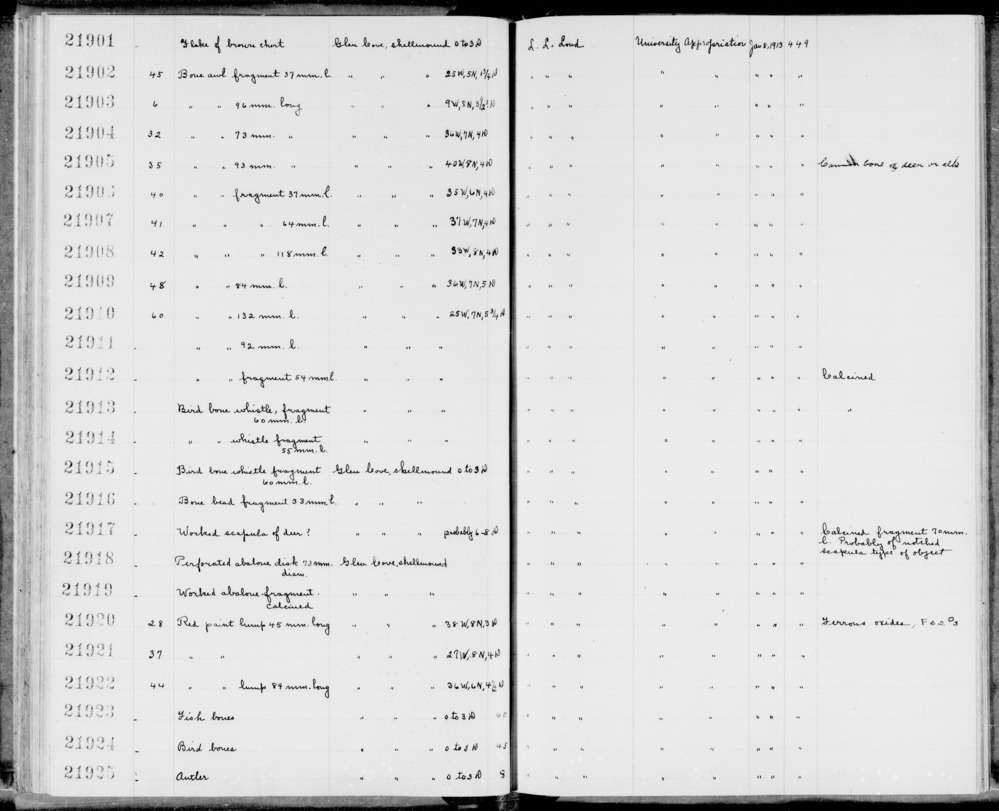 Documentation associated with Hearst Museum object titled Awl, accession number 1-21909, described as Bone.