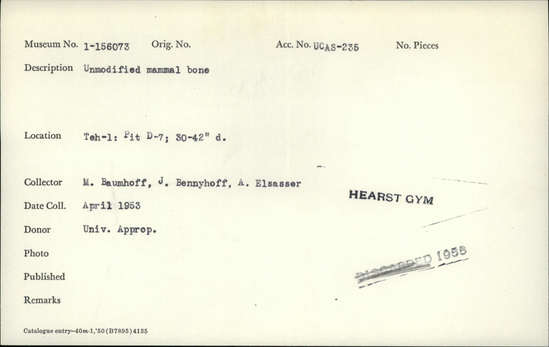 Documentation associated with Hearst Museum object titled Faunal remains, accession number 1-156073, described as Unmodified, mammal.