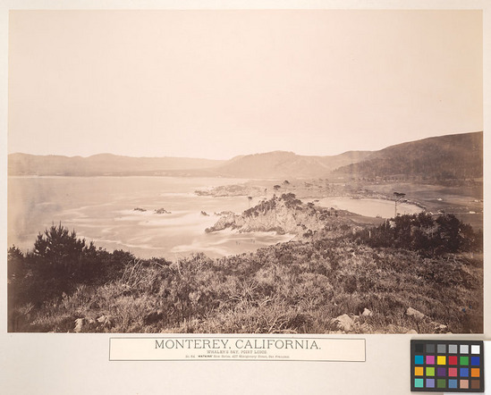 Hearst Museum object titled Albumen print, accession number 13-1306d, described as Mounted photograph: Monterey, California; Whaler's Bay, Point Lobos. No. 54 New Series.