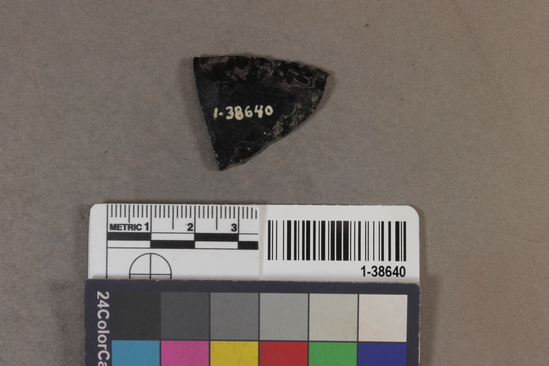 Hearst Museum object titled Projectile points, accession number 1-38640, described as Obsidian.