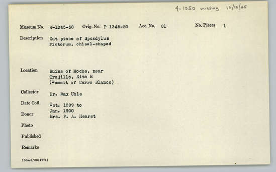 Documentation associated with Hearst Museum object titled Worked shell, accession number 4-1347, described as Cut piece of Spondylus pictorum, chisel-shaped.