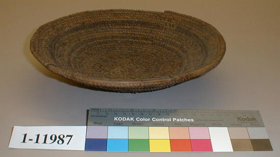 Hearst Museum object titled Bowl basket, accession number 1-11987, described as Plate form coiled basket.  Tag: "Yuki". Per Ralph Shanks:  Shallow flaring coiled bowl.  There is food debris.  The basket start is a tight spiral that has been stitched over.  The coil foundation includes peeled redbud rods and splints.  The weft designs are in unpeeled redbud and the design background is in peeled redbud. The design includes two horizontal bands of one row of unpeeled redbud followed by one horizontal band of two rows of unpeeled redbud. There are a few random rectangles.  The rim is plain wrapped, and missing in several areas.  The rim coil ending is blunt with two back stitches, three are missing.  The weft fag ends are bound under or clipped; the weft moving ends are concealed or bound under.  Less than 30% of the wefts are split on the interior, less than 10% are split on the exterior.  The wefts are non-interlocking.  The basket has an exterior workface.  It has a rightward work direction and a down to the right slant of weft twist.  The maker of this basket was half Yuki and half Wailaki.  The techniques and shape of the basket resemble Wailaki food bowls.