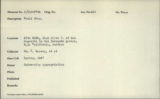 Documentation associated with Hearst Museum object titled Shell fragment, accession number 3-11332, described as Shell fragment.