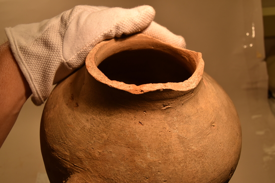 Hearst Museum object titled Amphora, accession number 6-8113, described as Pottery: pinkish jar, tapering toward bottom, neck broken off, loop handles.