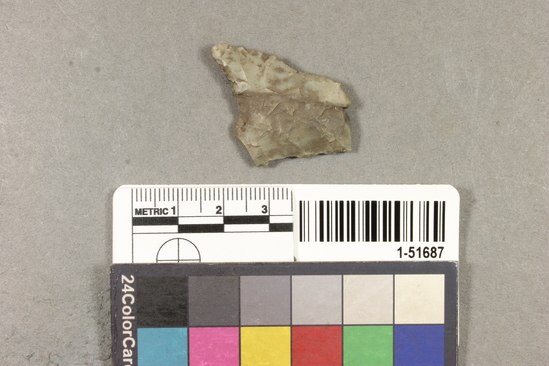 Hearst Museum object titled Projectile point, accession number 1-51687, described as Arrow point fragment, Franciscan chert.