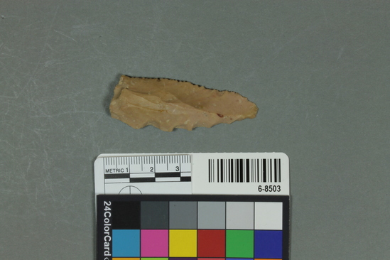 Hearst Museum object titled Knife, accession number 6-8503, described as Flint knife, Length 6 cm.