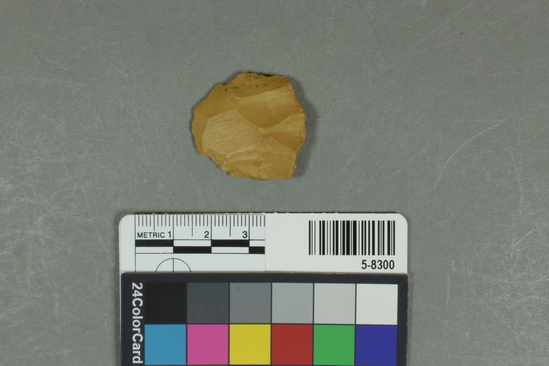 Hearst Museum object titled Flake, accession number 5-8300, described as Flake; circular outline; bulb removed; thick at platform only; length 3.1 cm