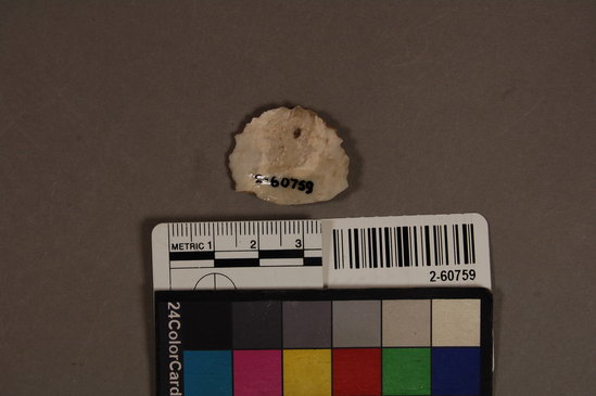 Hearst Museum object titled Lithic, accession number 2-60759, described as No description given on catalog card.