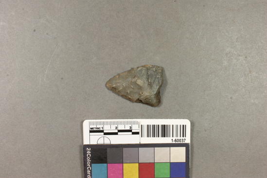 Hearst Museum object 3 of 3 titled Projectile point, accession number 1-60037, described as chert arrowpoint