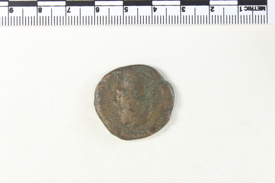 Hearst Museum object 5 of 8 titled Coin: æ sestertius, accession number 8-5912, described as Coin: Sestertius?; Æ; Tribonianus.Gallus - 14.55 grams. Rome, 251-253 AD. Obverse: [IMP CAES C VIBIVS TREBONIANVS GALLVS AVG] - Bust laureate, draped, facing right. Reverse: CONCORD[IA AVGG], SC - Concordia standing facing left holding patera in outstretched right hand, double cornucopiae in left.