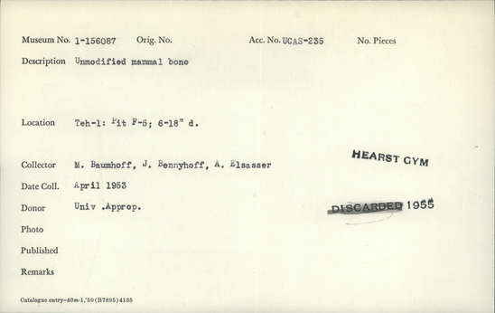 Documentation associated with Hearst Museum object titled Faunal remains, accession number 1-156087, described as Unmodified, mammal.