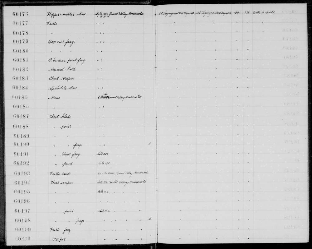 Documentation associated with Hearst Museum object titled Tooth, accession number 1-60182, described as Animal tooth