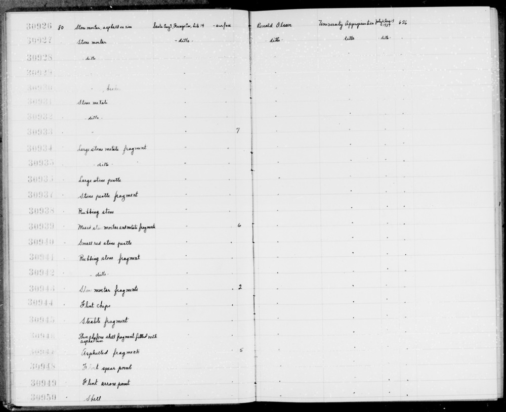 Documentation associated with Hearst Museum object titled Shell fragment, accession number 1-30946, described as Thin abalone shell fragment filled with asphaltum.