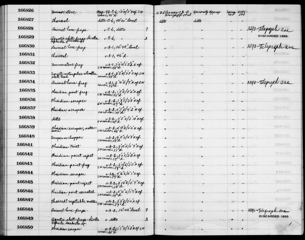 Documentation associated with Hearst Museum object titled Tarsometatarsus, r, accession number 1-166848.3, no description available.