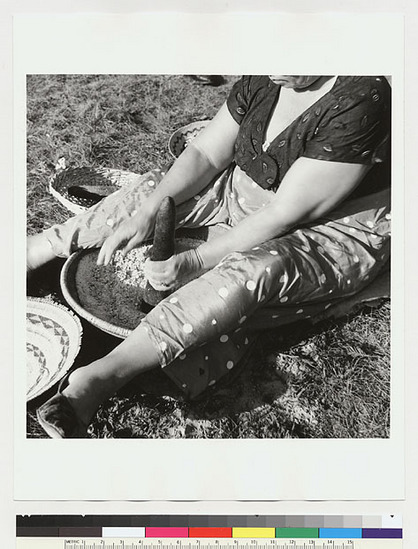 Hearst Museum object titled Black-and-white negative, accession number 15-19552, described as Essie Parrish preparing acorn meal