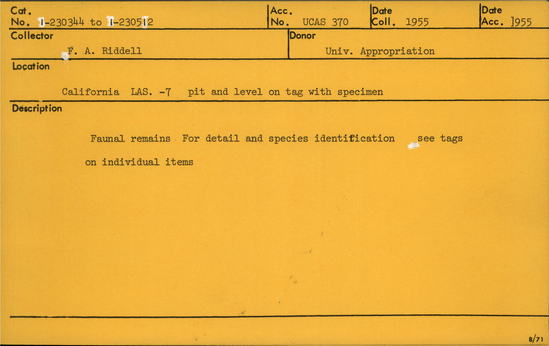 Documentation associated with Hearst Museum object titled Faunal remains, accession number 1-230377, described as For detail and species identification, see tags on individual items.