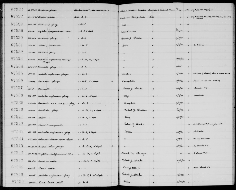 Documentation associated with Hearst Museum object titled Shell fragment, accession number 1-67529, described as Mytilus californianus valve.