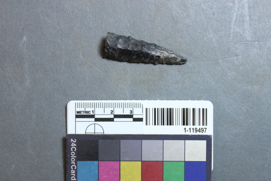 Hearst Museum object titled Projectile point, accession number 1-119497, described as Projectile point fragment, flint