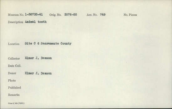 Documentation associated with Hearst Museum object titled Tooth, accession number 1-58736, described as Animal