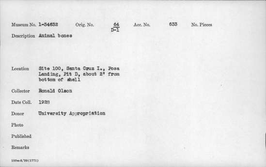 Documentation associated with Hearst Museum object titled Faunal remains, accession number 1-34632.1, described as The remains of at least 2 fox skeletons. Notice: Image restricted due to its potentially sensitive nature. Contact Museum to request access.