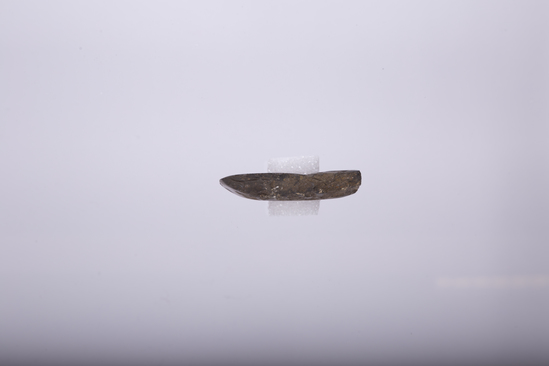 Hearst Museum object titled Adze blade (toki), accession number 11-37167, no description available.