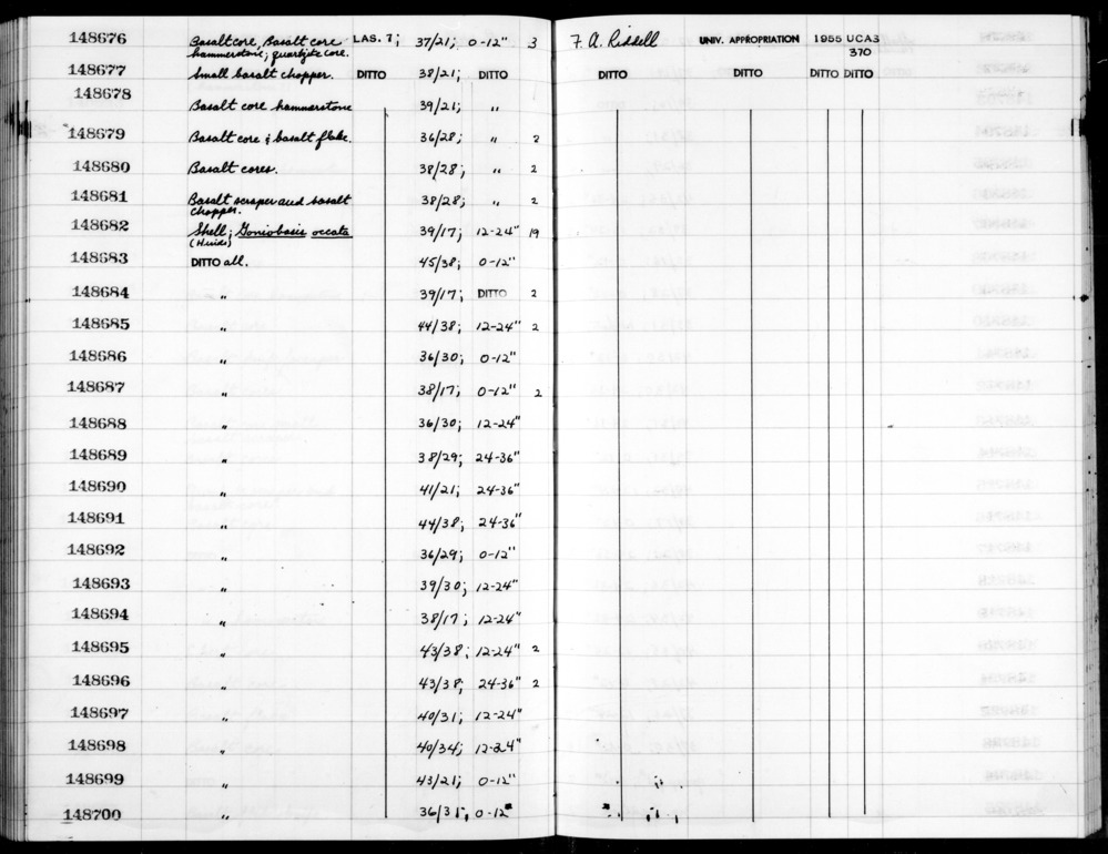 Documentation associated with Hearst Museum object titled Shell, accession number 1-148684, described as Goniobasis occata (Hinds).