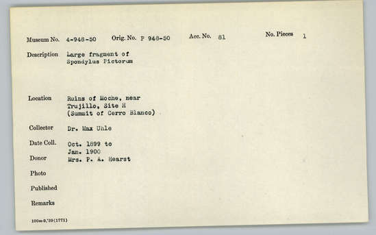 Documentation associated with Hearst Museum object titled Shell fragment, accession number 4-950, described as Large fragment of Spondylus pictorum.