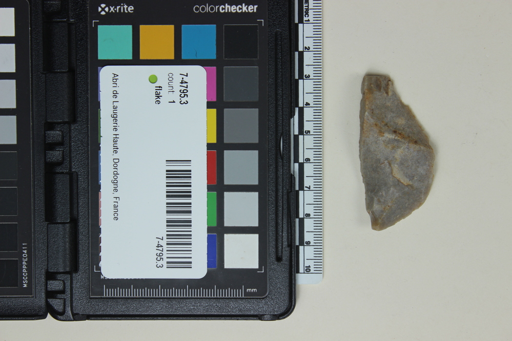 Hearst Museum object 1 of 2 titled Flake, accession number 7-4795.3, no description available.