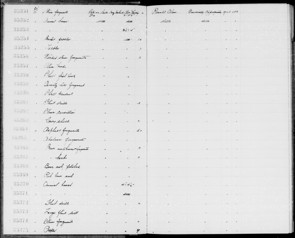 Documentation associated with Hearst Museum object titled Faunal remains, accession number 1-35370, described as Animal