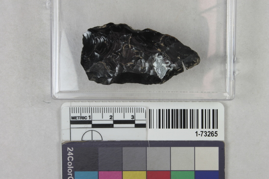 Hearst Museum object titled Point, accession number 1-73265, described as Obsidian point