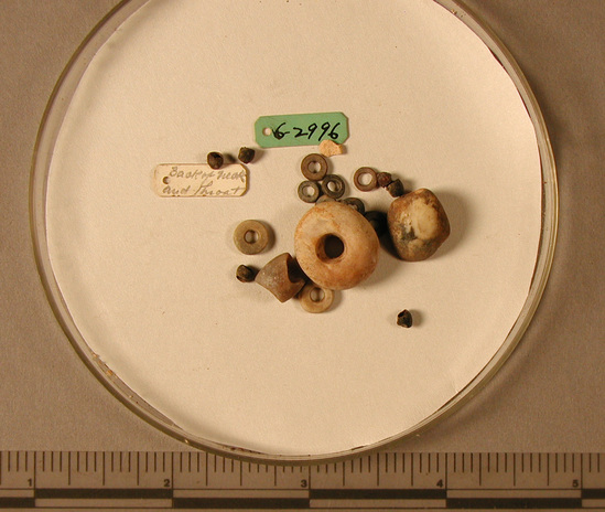 Hearst Museum object titled Beads, accession number 6-2996, described as beads, three large shell, 19 small shell