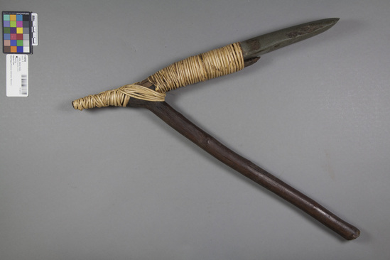 Hearst Museum object titled Adze, accession number 11-40703, described as adze, stone blade, wood handle, vine lashing