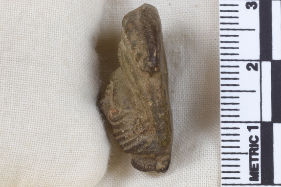 Hearst Museum object 2 of 11 titled Amulet, accession number 5-13917, described as Amulet: anthropomorphic with beadwork collar, long straight hair, bulging eyes, and ears high on head. No holes for stringing amulet. Maybe a fake. Fingerprint on back. Height 2.7 cm.