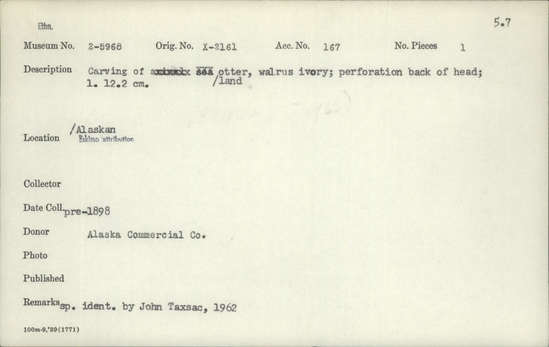 Documentation associated with Hearst Museum object titled Zoomorph, accession number 2-5968, described as Carving of land otter.  Made of walrus ivory.  Perforation on back of head.