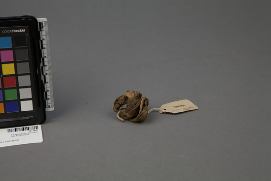 Hearst Museum object titled Container, accession number 10-1487, described as Lime container of carabao horn with red seed plug; engraved; lime rubbed into desing; 2 7/8” l. Plug missing, 1963