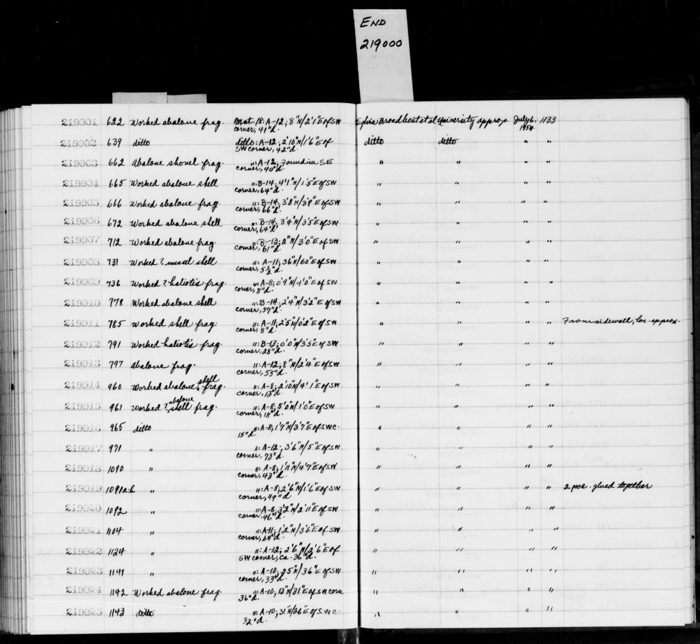 Documentation associated with Hearst Museum object titled Shell fragment, accession number 1-219913, described as Abalone fragment.